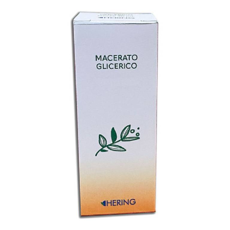 ALNUS GLUTINOSA 30ML MG