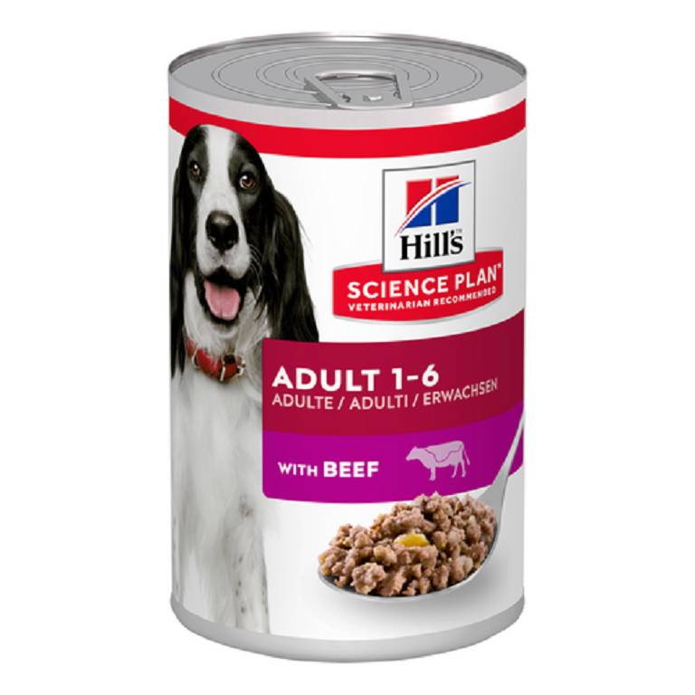 CANINE ADULT BEEF 370G