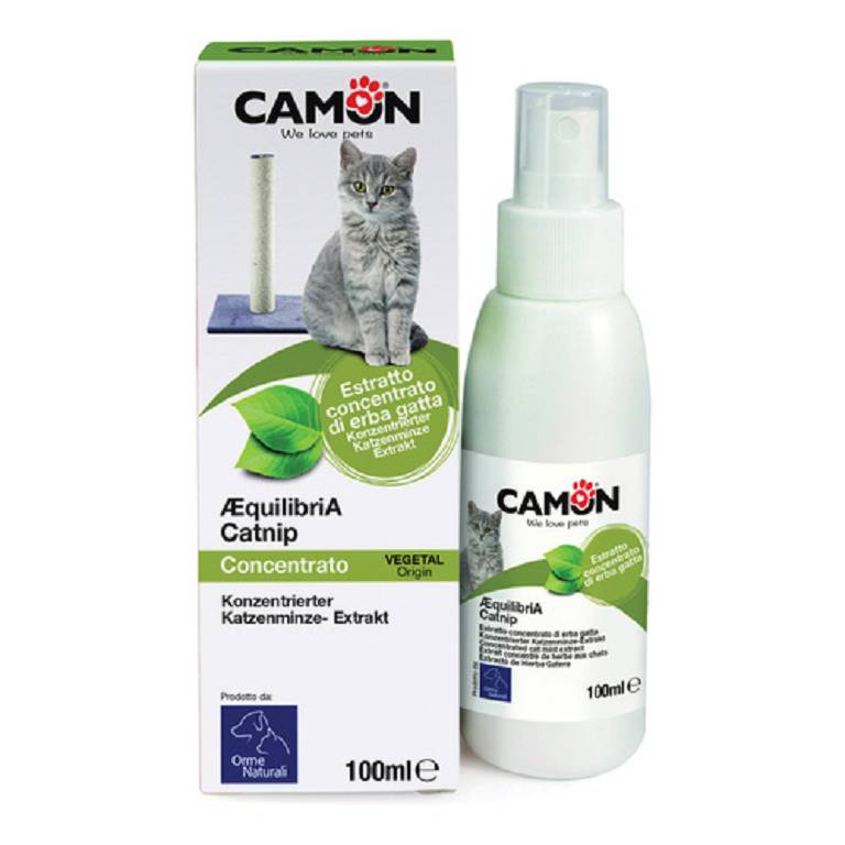 CATNIP ESTR CONC ERBA GATTA