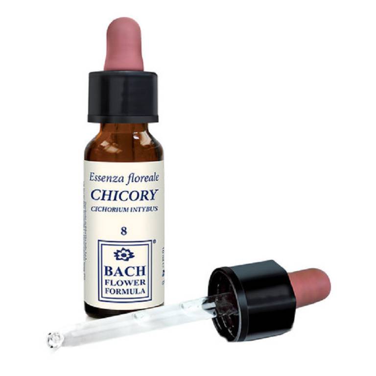 CHICORY ORIGINAL 10ML GTT