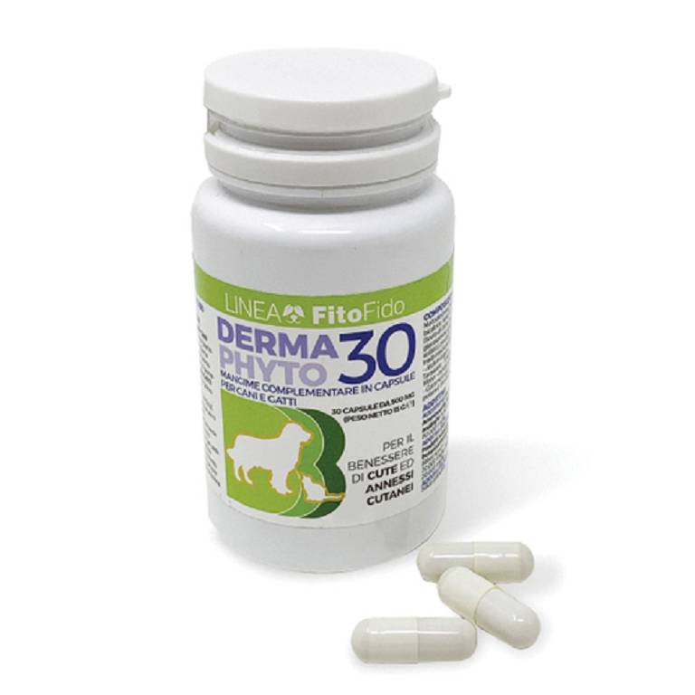 DERMAPHYTO 30CPS