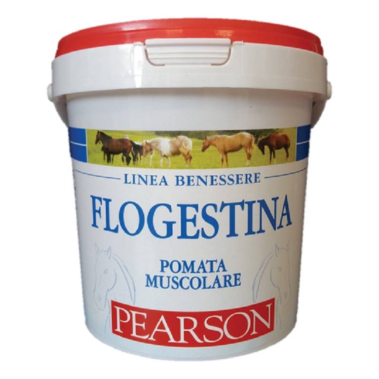 FLOGESTINA GEL ANTIDOLORIFIC3K