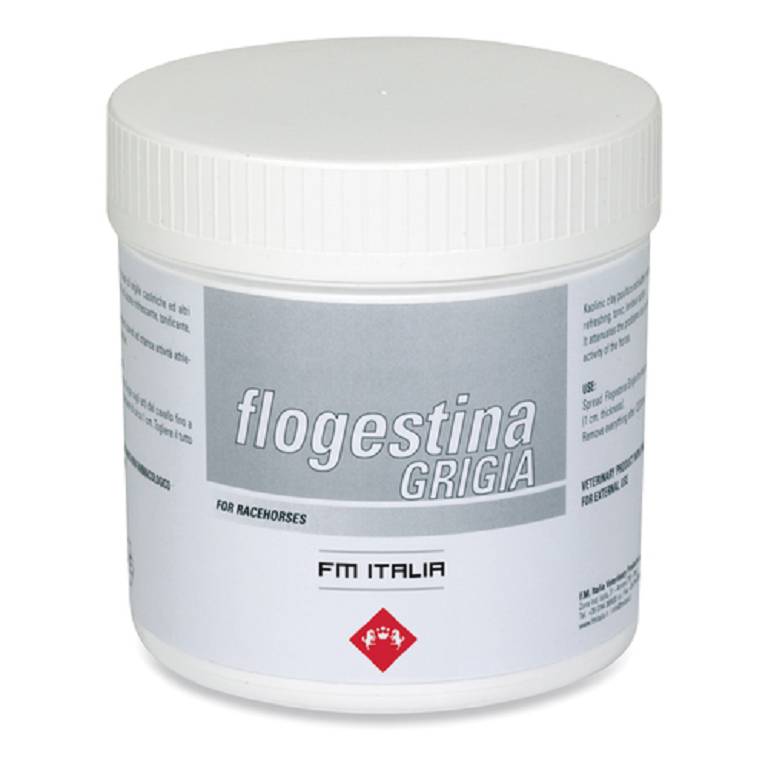 FLOGESTINA GRIGIA PASTA 8KG