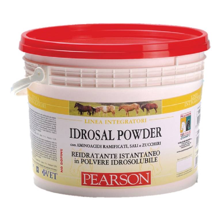 IDROSAL POWDER ELETT POLV 1KG