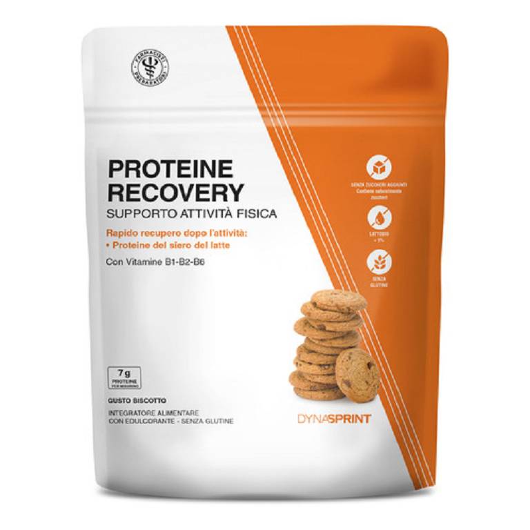 LFP PROTEINE RECOVERY 475G