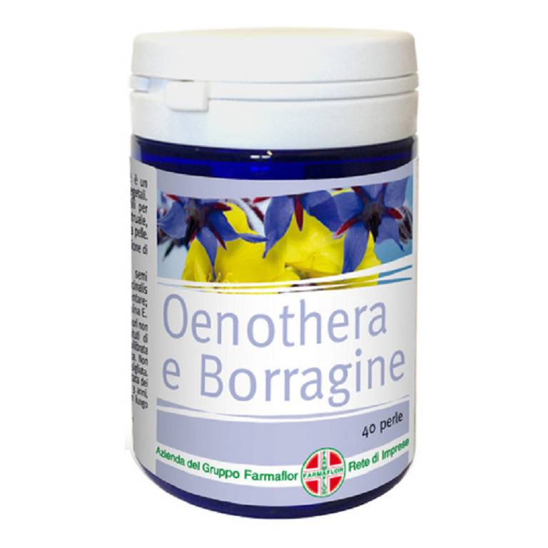 OENOTHERA BORRAGINE 40PRL