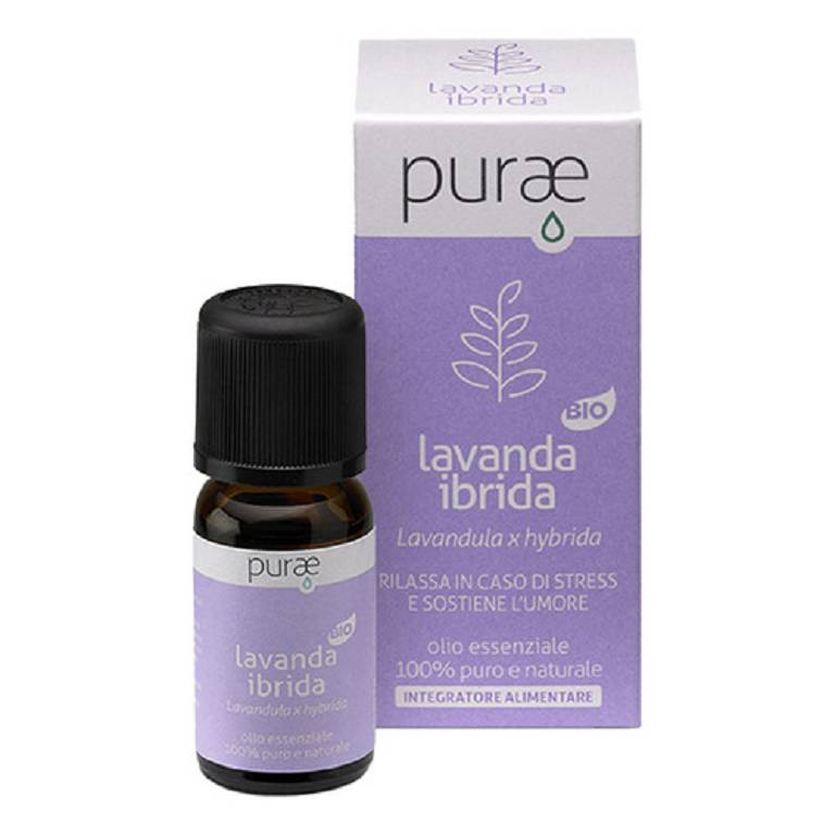 PURAE LAVANDA IBRIDA BIO OE