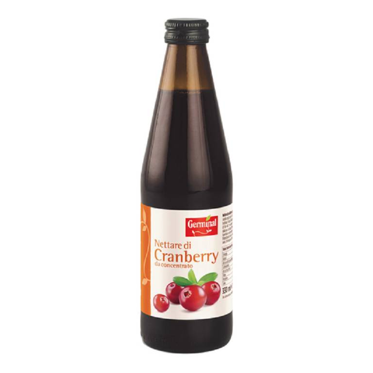 SUCCO CRANBERRY BIO 330ML