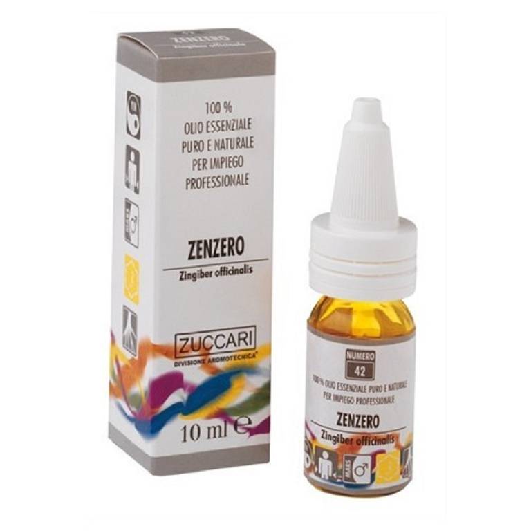 ZENZERO OLIO ESSENZIALE NAT5ML